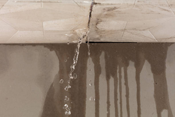 Professional Burst Pipe Cleanup technician working in Cadillac, MI